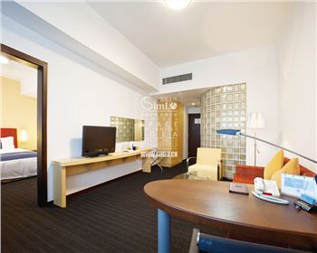 德陽板式酒店公寓家具SIMLO095